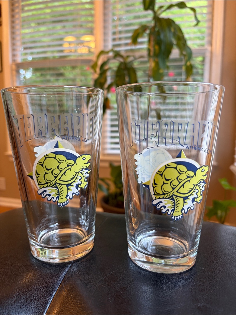 Terrapin Beer Co. Beer Glass 16 oz. Pint Athens, GA Brewery Set of 2